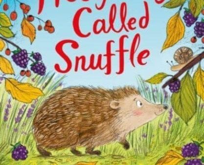 A Hedgehog Called Snuffle by Helen Peters For Cheap